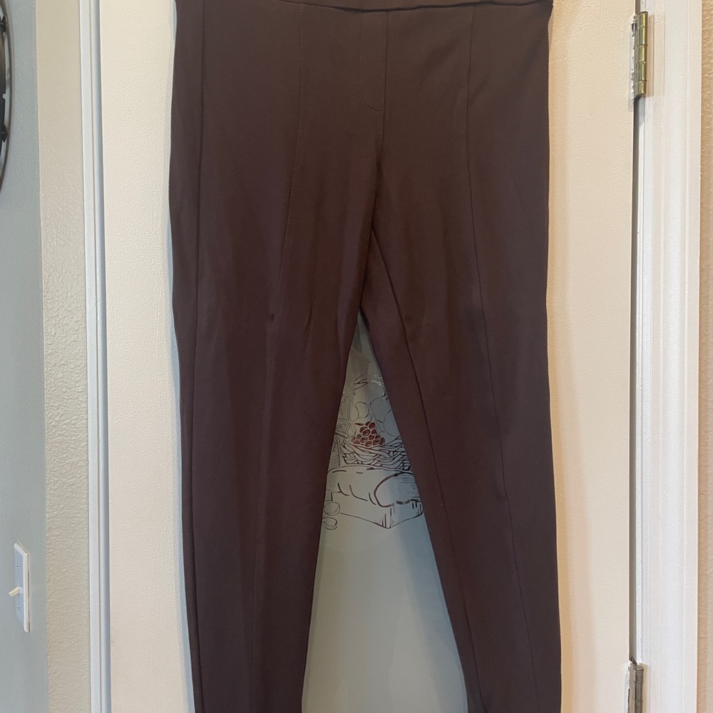 Style & Co. Chocolate Brown Leggings